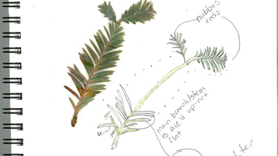 Student notebook example