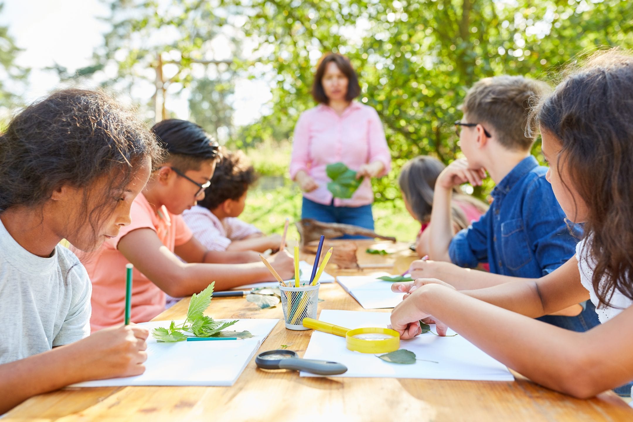 children drawing plants outside