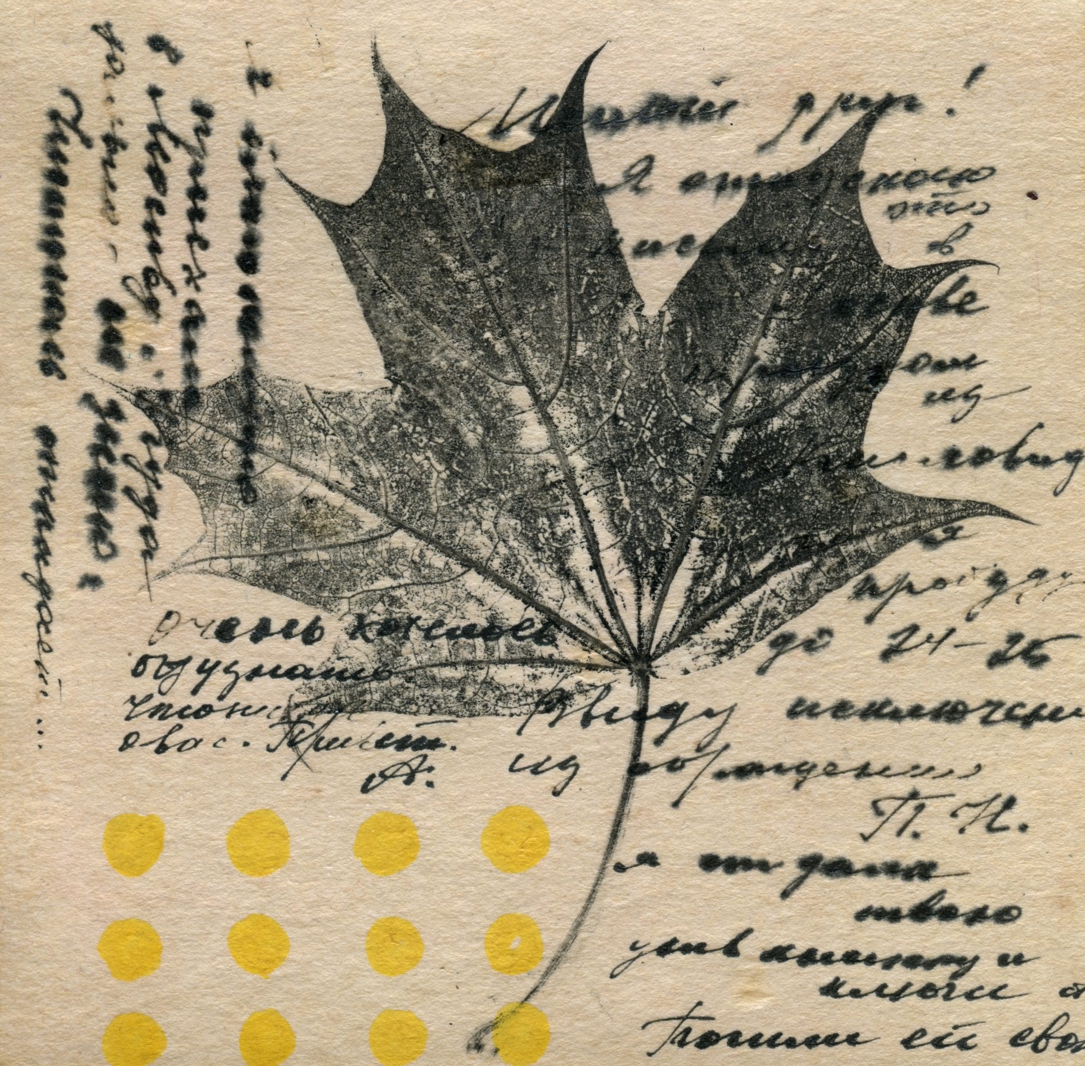 Imprint of a maple leaf with handwritten notes