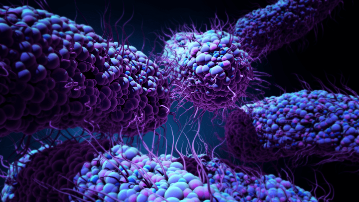 3d image of purple and blue bacteria against dark blue background