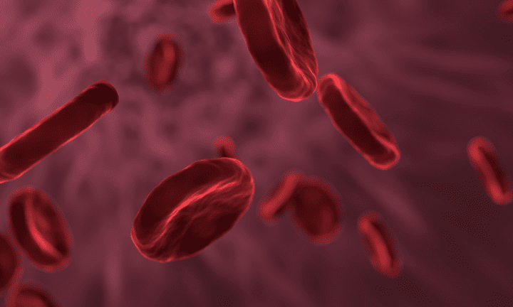 close up illustration of red blood cells against red background
