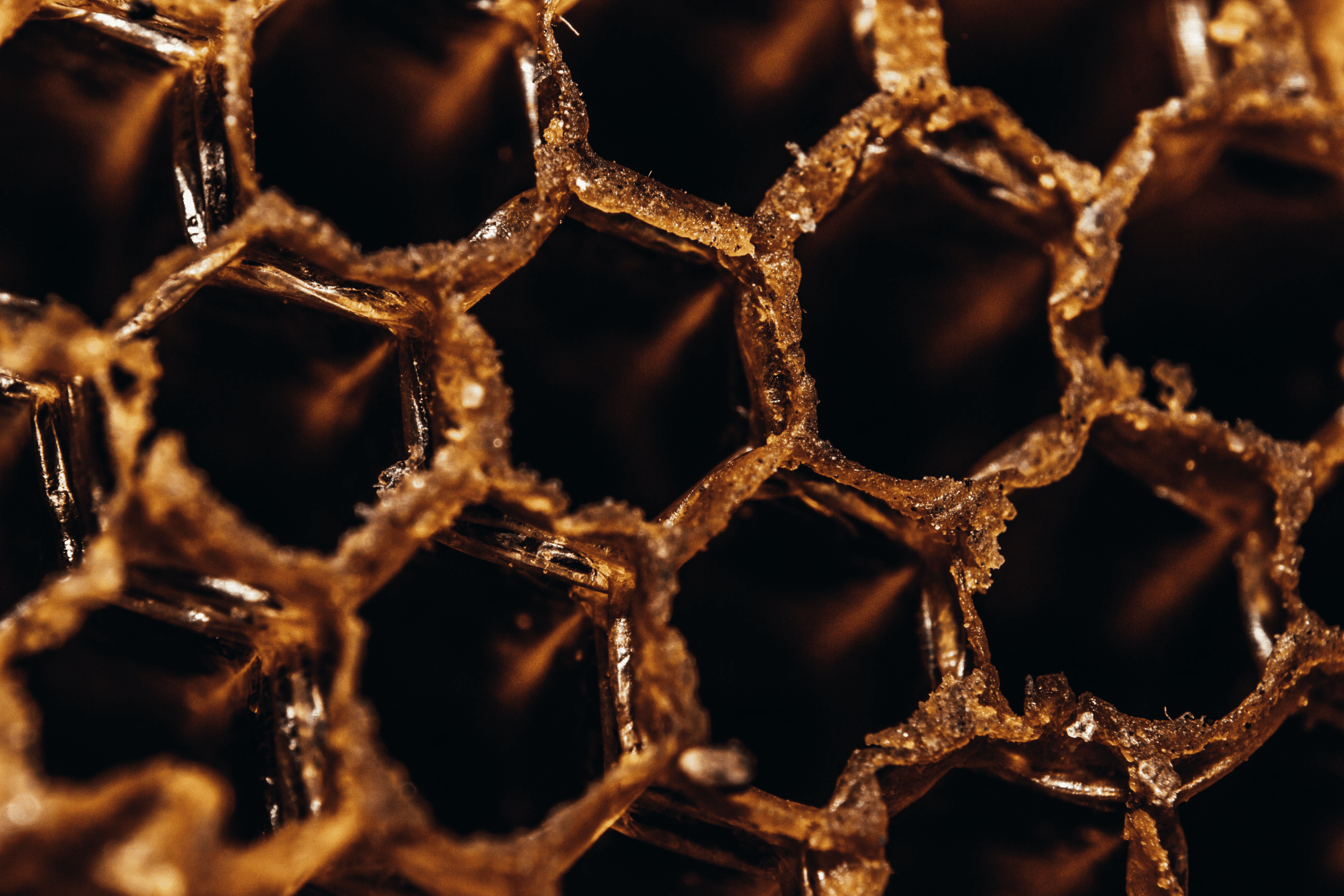 close up photograph of a dark golden honeycomb