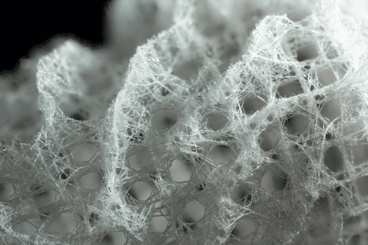 close up photograph of white sea sponge